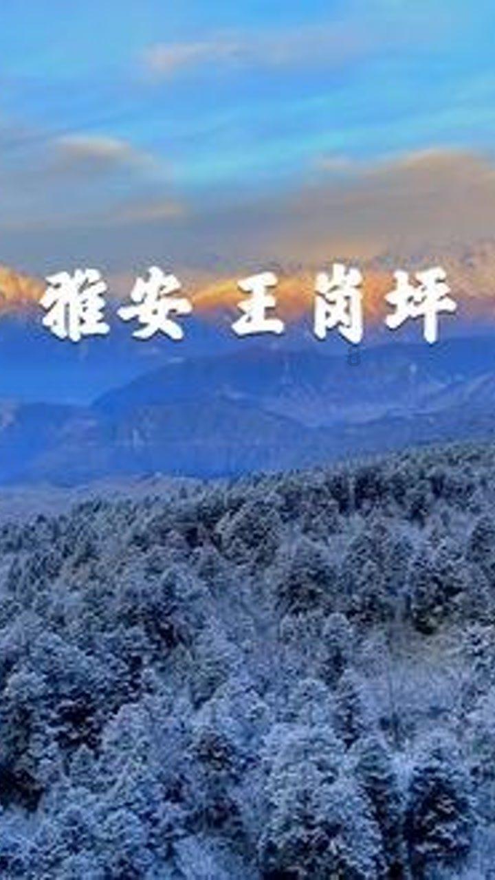 逃离外星人森林