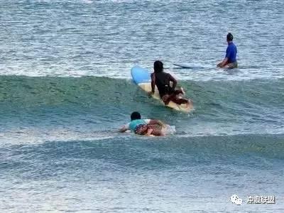 小猫钓鱼开船版最新版下载