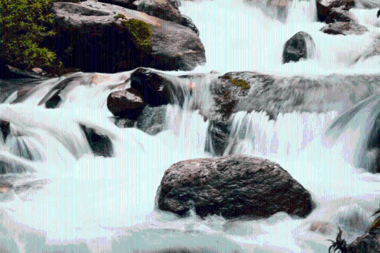 救援蒙克