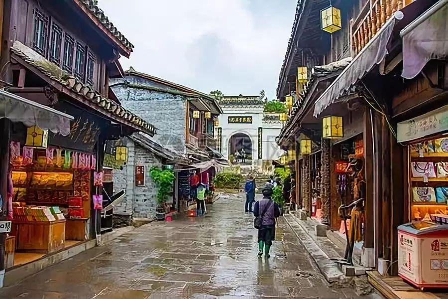 这是什么植物长得像三叶草游戏画面