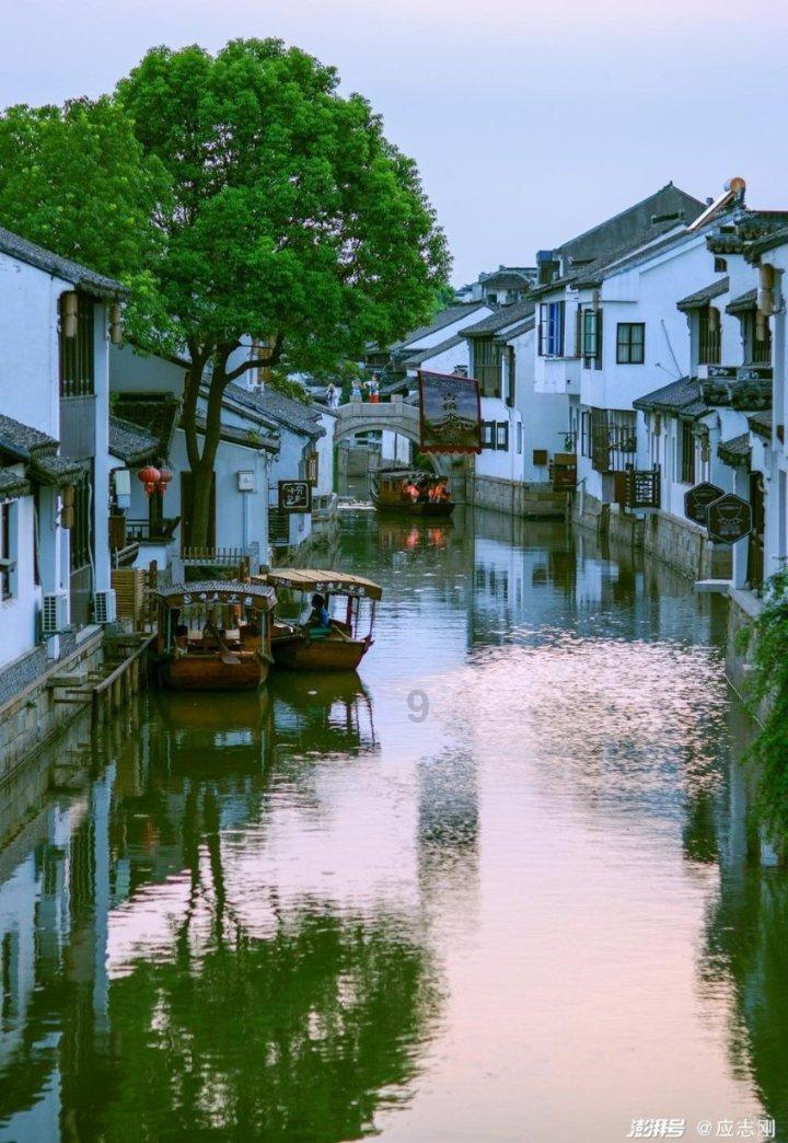 救援淘气的小狗