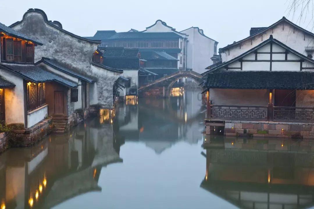 营救小猫头鹰